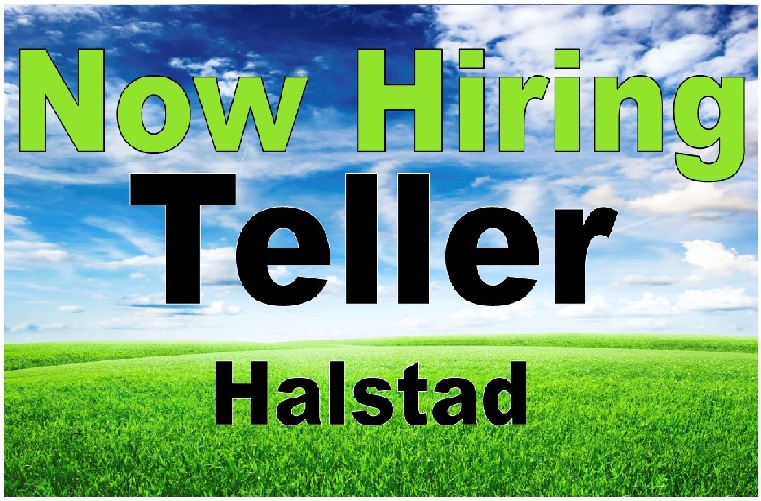 Teller - Halstad (website reduced).jpg